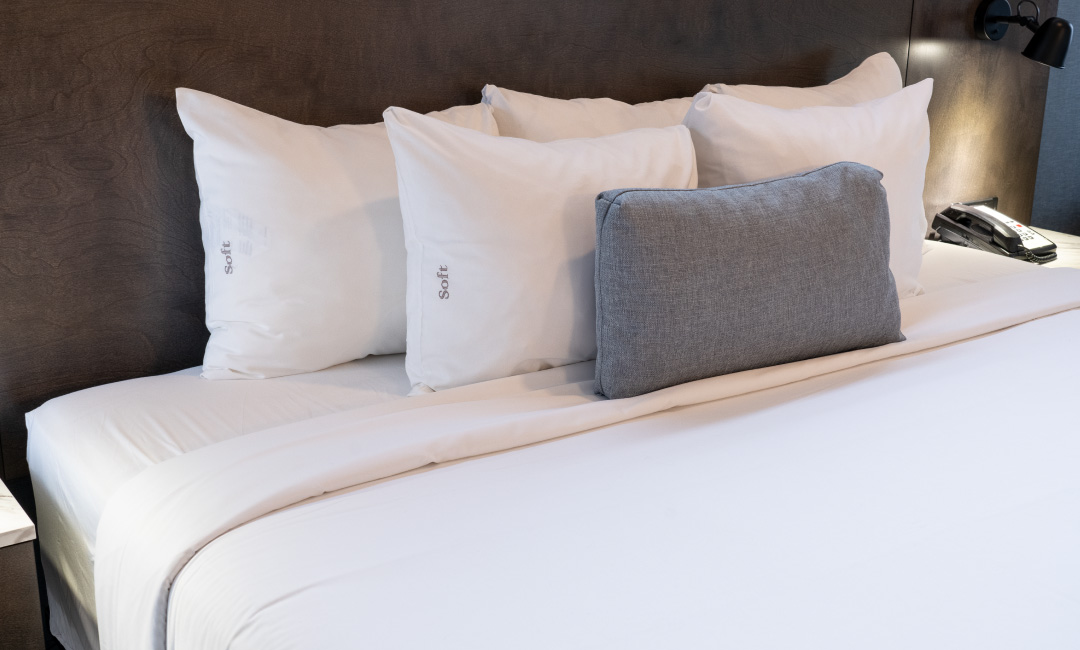 Premium King Suite - Bed